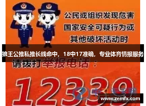 狼王公推私推长线命中，18中17准确，专业体育情报服务